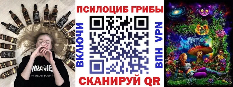 Псилоцибиновые грибы мицелий  Купить закладки  Анадырь 